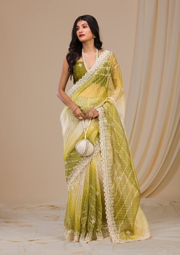 Mehendi Gotapatti Net Saree