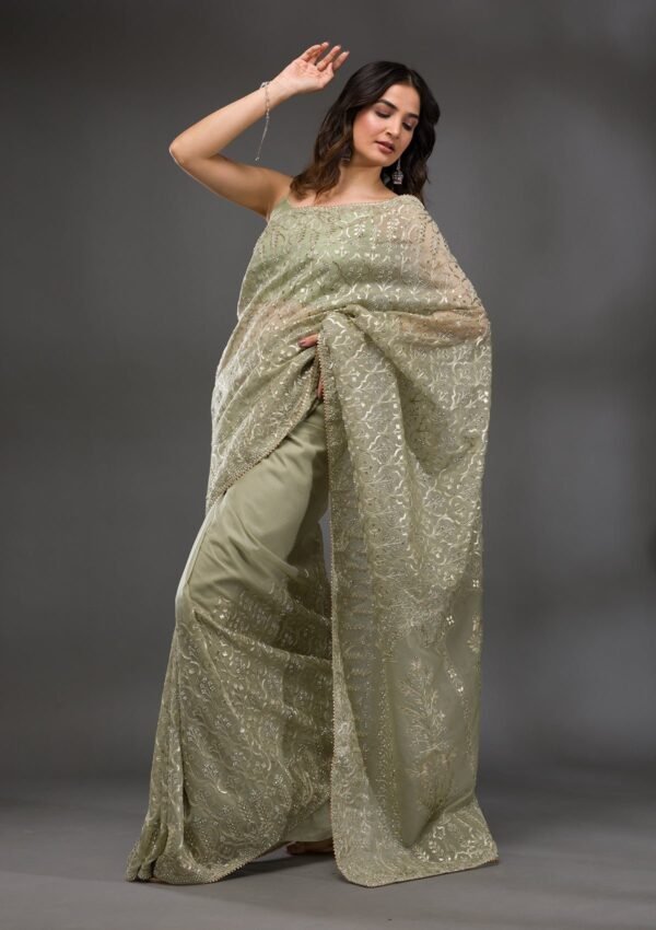 Pista Green Gotapatti Tissue Saree